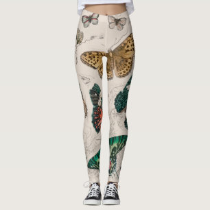 Legging Borboletas Antigas de Coleção de Borboletas