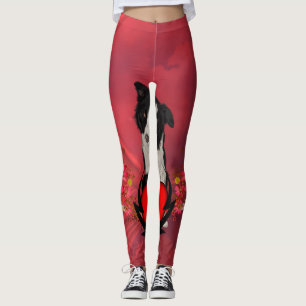 Legging Border collie bonito