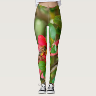 Legging Bumblebee E Azalea