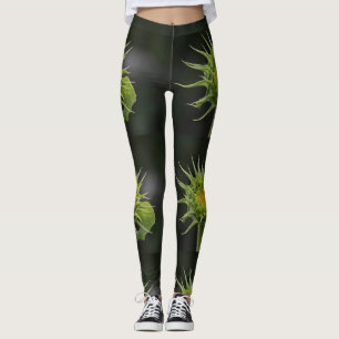Legging Cama de girassol