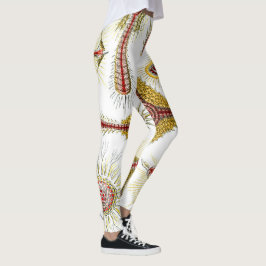 Legging Camomila Selvagem por Ernst Haeckel, Natureza Vint