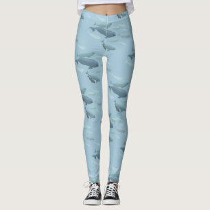 Legging Caneleiras da beluga do bebê das caneleiras da