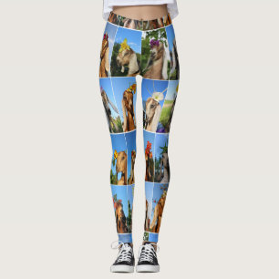 Legging Caneleiras da cabra do bebê
