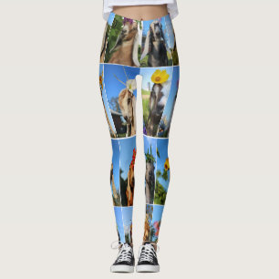 Legging Caneleiras da cabra do bebê