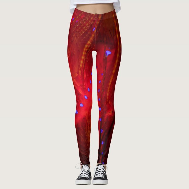 Legging Caneleiras do diabrete do fogo (Frente)