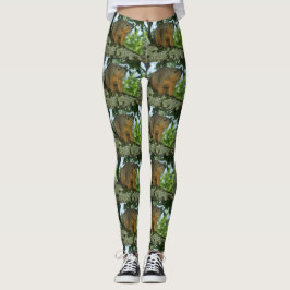 Legging Caneleiras do esquilo