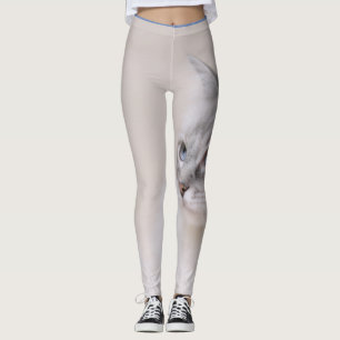 Legging Caneleiras do gato de Ragdoll