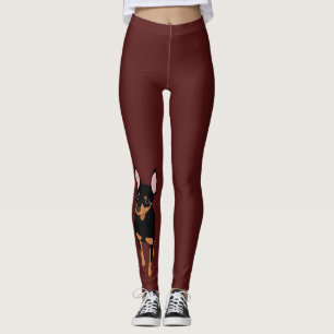 Legging Caneleiras do Pinscher diminuto do Pin do minuto