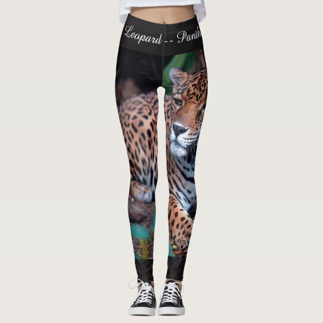 Legging Caneleiras feitas sob encomenda dos gatos grandes: (Frente)