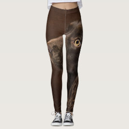 Legging Cão De Cabelo Castanho