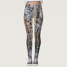 Legging Cena do inverno