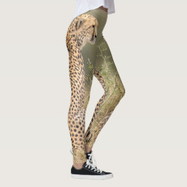 Legging Chita fotografada na qualidade selvagem