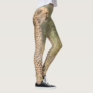 Legging Chita fotografada na qualidade selvagem