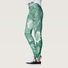 Legging Conchas e Peixes Teleostei Vintage por Ernst Haeck