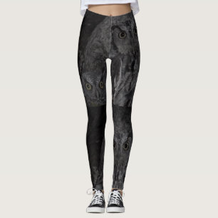 Legging Corujas de noite