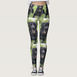Legging Criar uma Colagem de Fotos Personalizada com 13 Fo