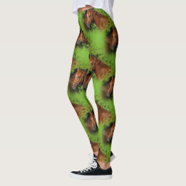Legging Dois Belos Cavalos de Castanheiro no Sol