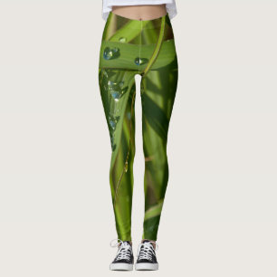 Legging erva com orvalhar