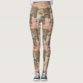 Legging Esquilo à terra nas caneleiras das mulheres dos