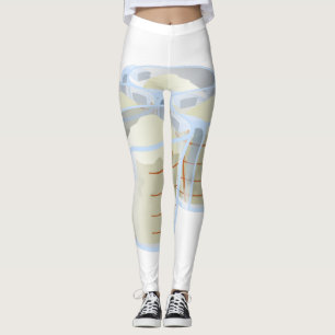 Legging Farinha de Comida