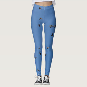 Legging Flock of Birds Flying in Clear Blue Sky with Parag