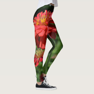 Legging floral de margarida vermelha, jardim de flores ver