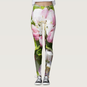 Legging Florescência da árvore de maçã