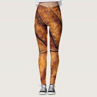 Legging Folha seca: fundo natural de textura.