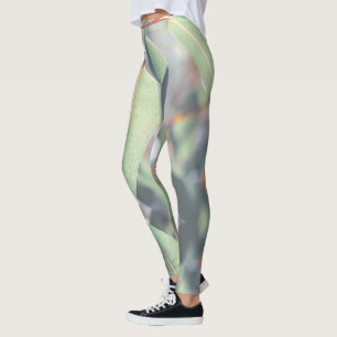 Legging Folhas de árvore de eucalipto verde pálido
