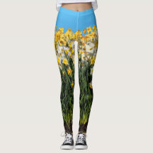 Fotografia Floral de Daffodils De Dois Tons Incrív