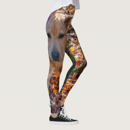 Legging Funcione como um laboratório! Caneleiras