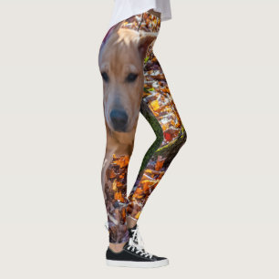 Legging Funcione como um laboratório! Caneleiras
