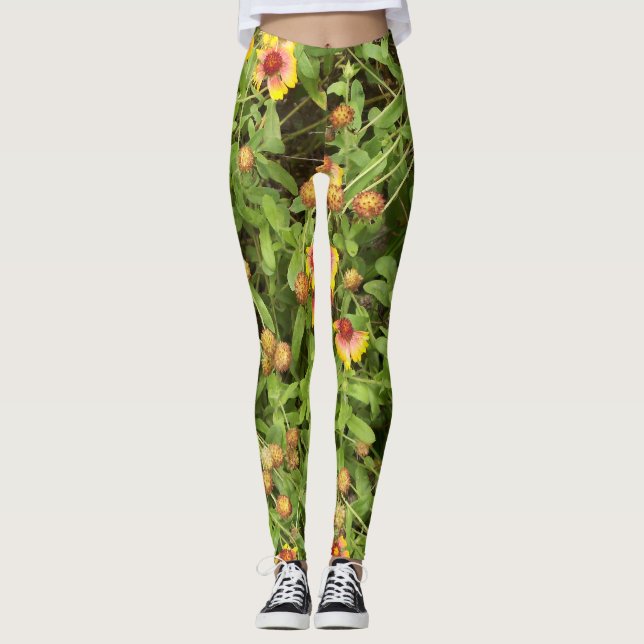 Legging Gaillardia às vezes chamada Flores em Aberto (Frente)