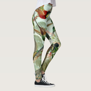 Legging Hummingbird por Ernst Haeckel