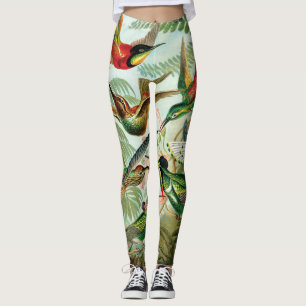 Legging Hummingbird por Ernst Haeckel