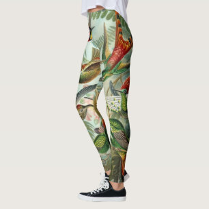 Legging Hummingbird por Ernst Haeckel, Vintage Birds Trees