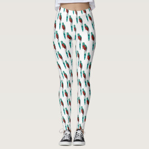 Legging Ilustração quetzal de desenho animado de ave respo