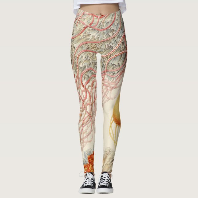 Legging Jellyfish - Ernst Haeckel (Frente)
