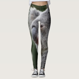 Legging Koala