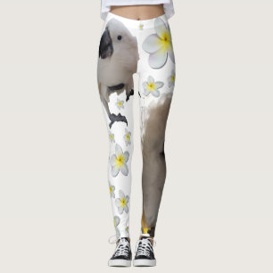 Legging Lala as poses e os Plumerias do Cockatoo três