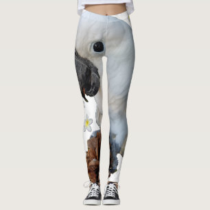 Legging Lala o Cockatoo com cone e Plumeria do pinho