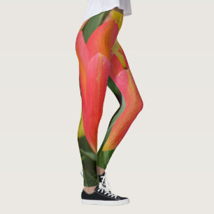 Legging Leggens laranja/cor-de-rosa