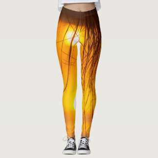 Legging Leguminosas viradas para baixo