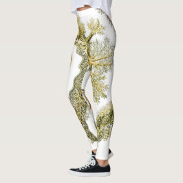 Legging Lesmas Marinhas por Ernst Haeckel, Nudibranchia Vi
