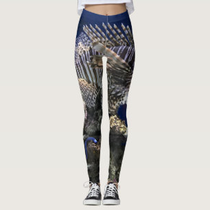Legging Lionfish no aquário