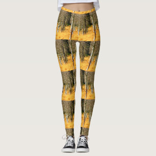 Legging madeiras do álamo tremedor
