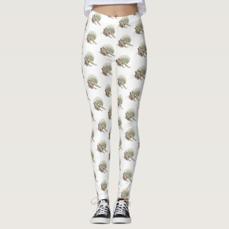 Legging Meias ou Collants de Caranguejo Ermitão
