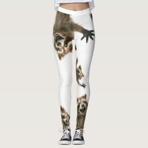 Legging Miras de guaxinim.  Então você nunca ficará soz