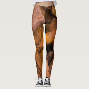 LEGGING O METAL ORDENA CANELEIRAS