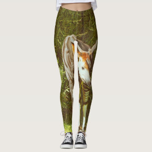 Legging okapi